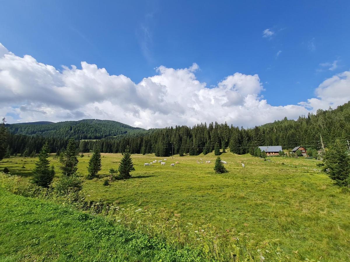 Apartmenthaus Almwiese Flattnitz Eksteriør bilde
