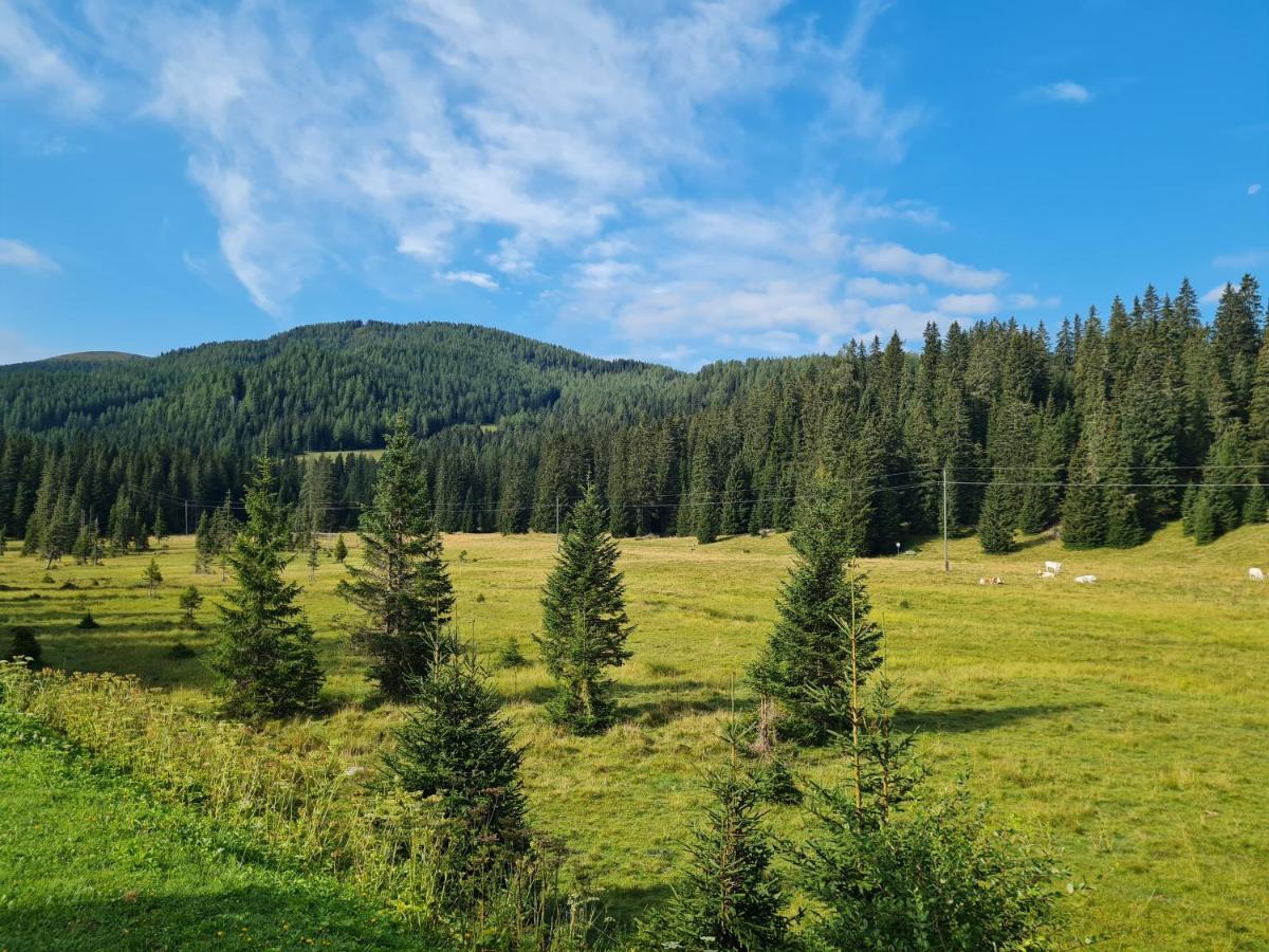 Apartmenthaus Almwiese Flattnitz Eksteriør bilde