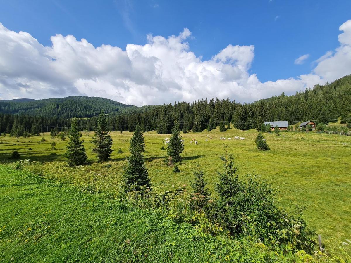 Apartmenthaus Almwiese Flattnitz Eksteriør bilde